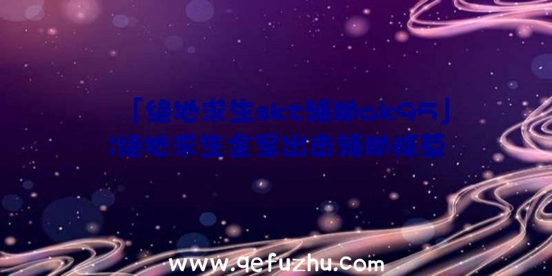 「绝地求生skt辅助ak95」|绝地求生全军出击辅助除草